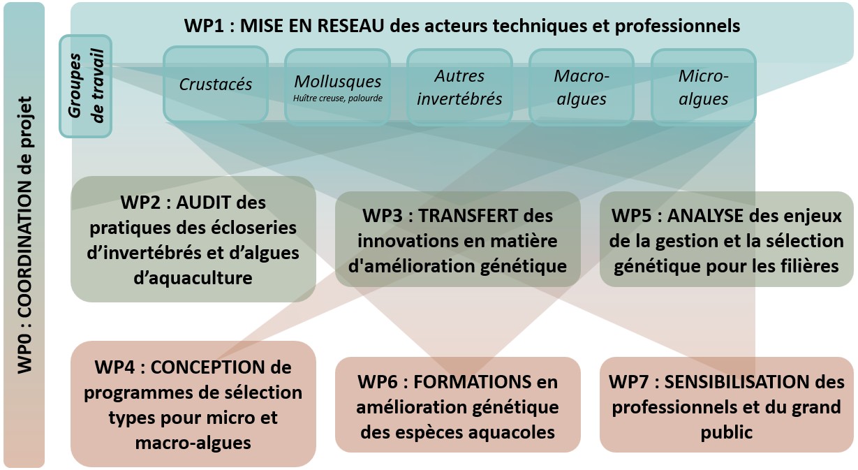organigramme tehasis organigramme tehasis