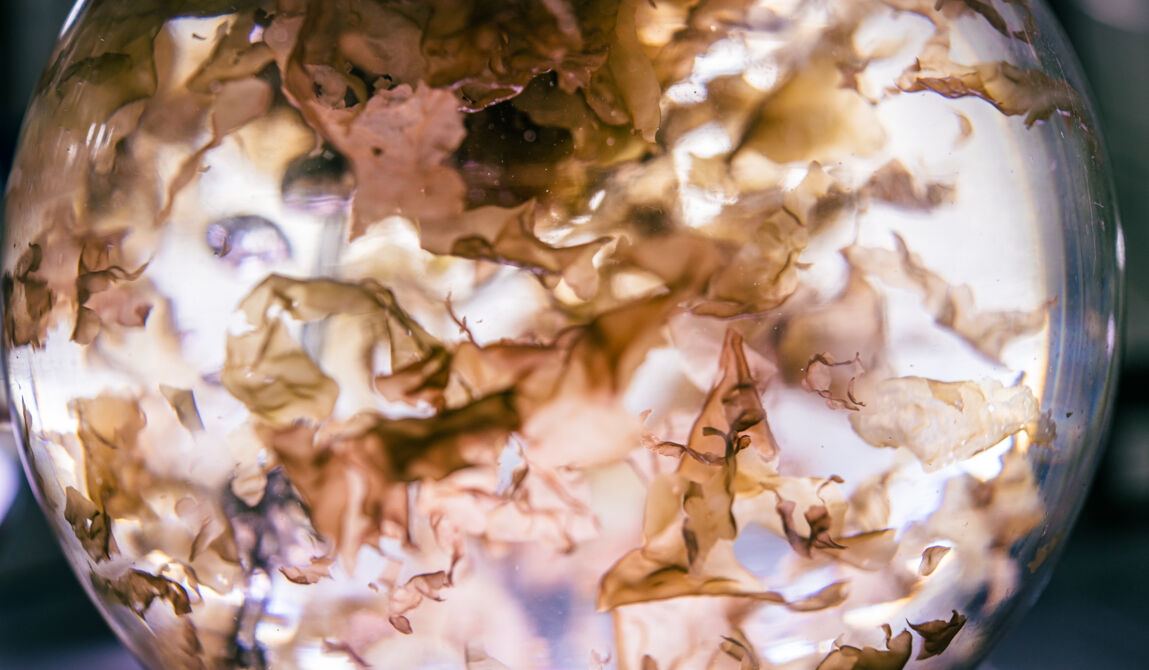 CEVA-2_Copyright CEVA-GLB-5marsProduction.jpg