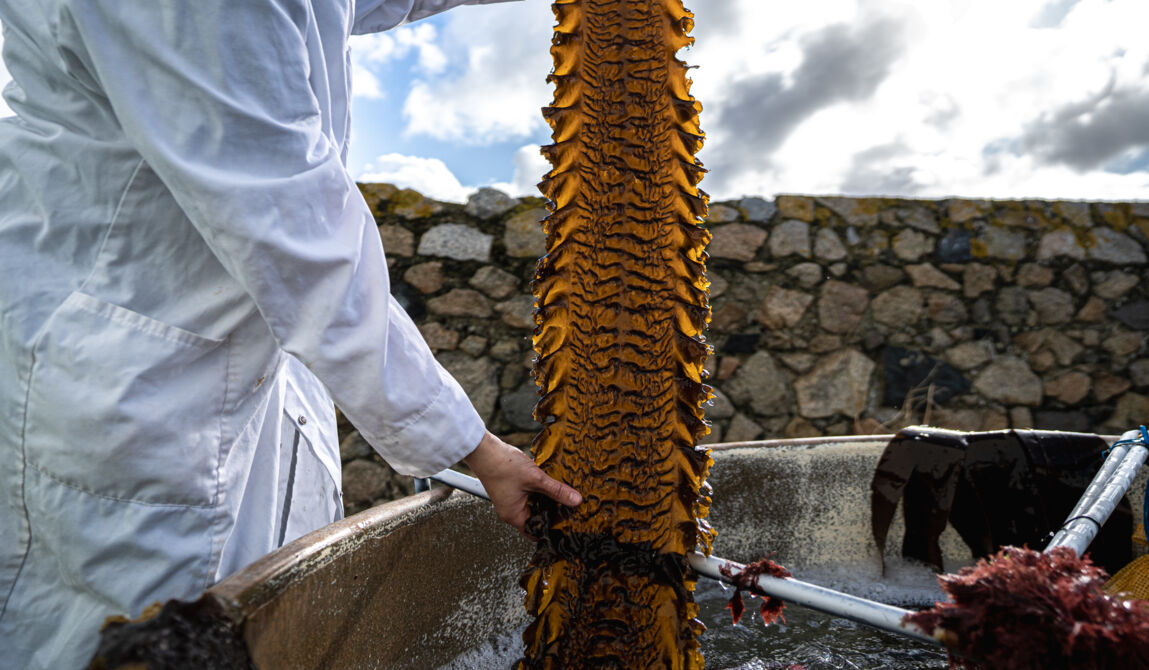 CEVA-18_Copyright CEVA-GLB-5marsProduction.jpg