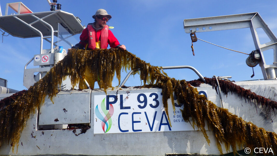 CEVA-17_Copyright CEVA.JPG