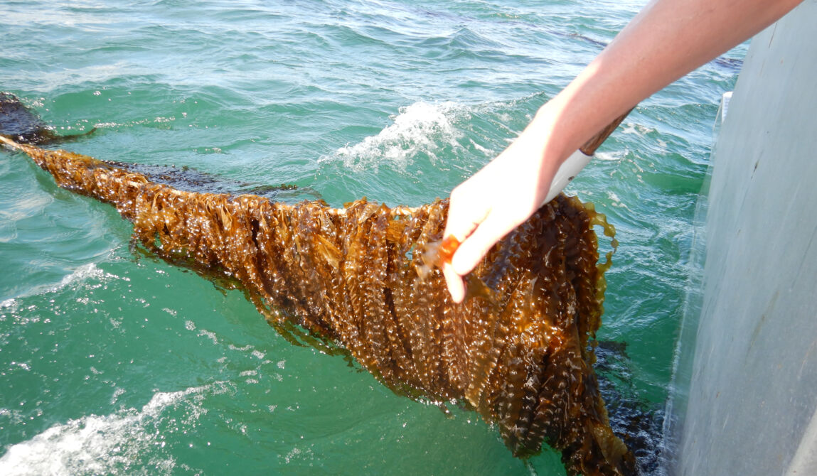 CEVA-5_Copyright CEVA.JPG