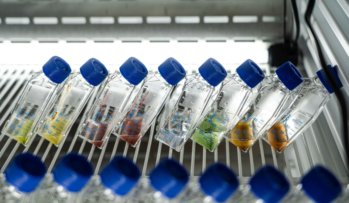 CEVA-32_Copyright CEVA.jpg