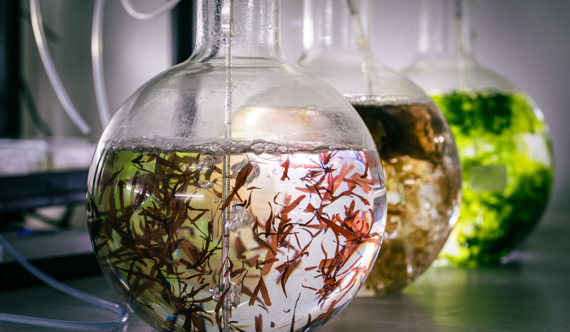 CEVA-1_Copyright CEVA-GLB-5marsProduction.jpg