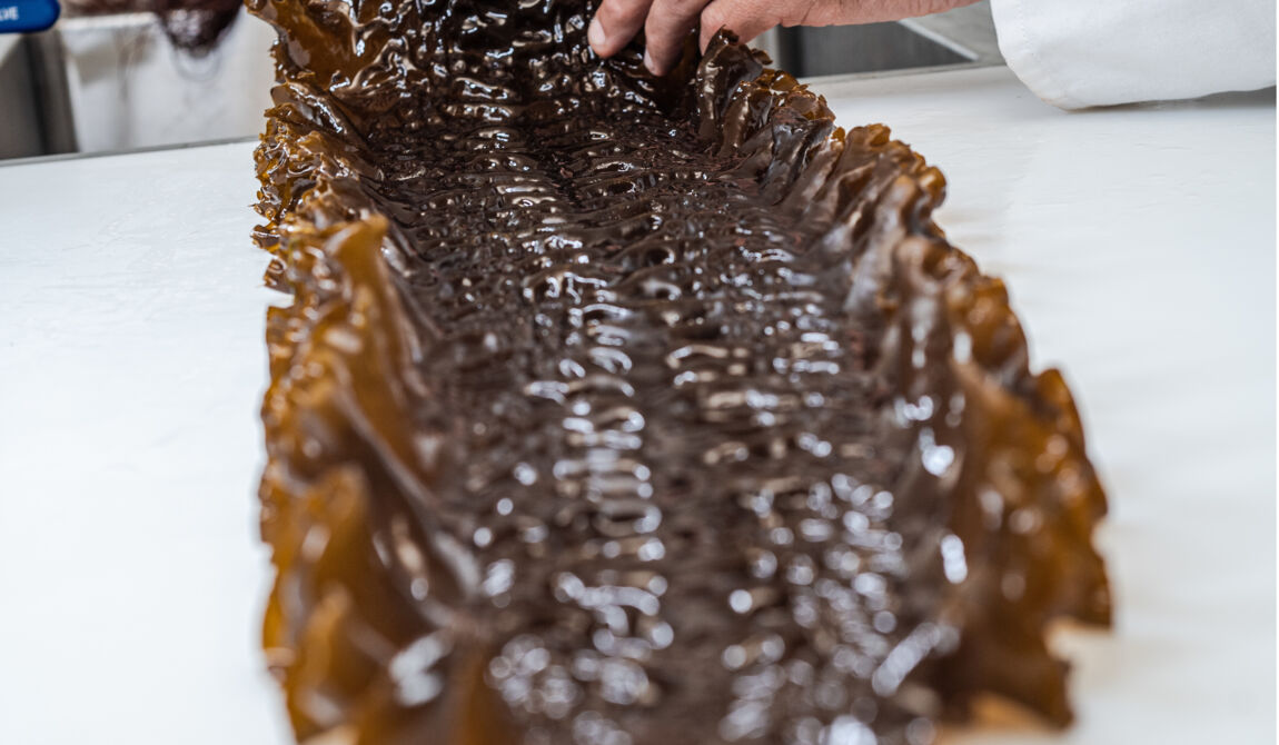 CEVA-9_Copyright CEVA-GLB-5marsProduction.jpg