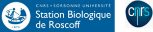 StationBioRoscoff-CNRS.jpg.png